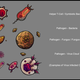 Illustration for article titled Concept designs of battle-ready pathogens and blood cells would make for a fantastic video game